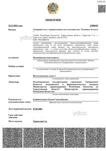 Лицензия Лицензия