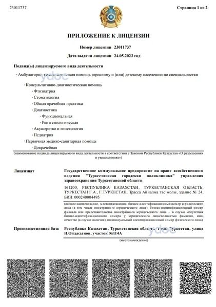 Лицензия Лицензия