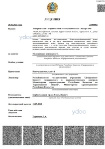 Лицензия Лицензия