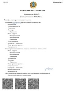 Приложение к лицензии Приложение к лицензии