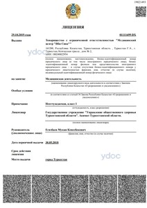 Лицензия Лицензия