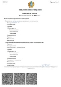 Приложение к лицензии Приложение к лицензии