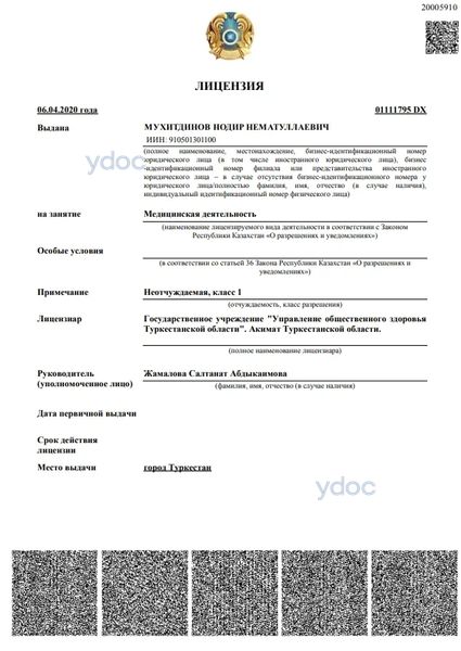 Лицензия Лицензия