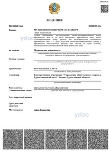 Лицензия Лицензия