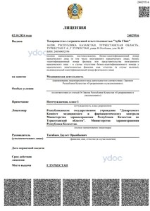 Лицензия Лицензия