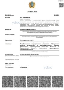 Лицензия Лицензия