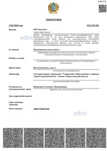 Лицензия Лицензия