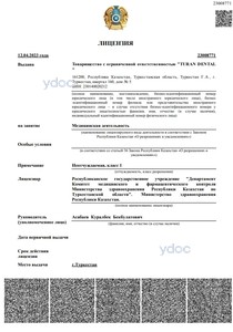 Лицензия Лицензия