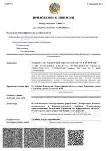 Приложение к лицензии