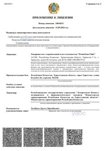 Приложение к лицензии