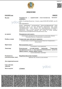 Лицензия Лицензия