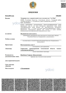 Лицензия Лицензия