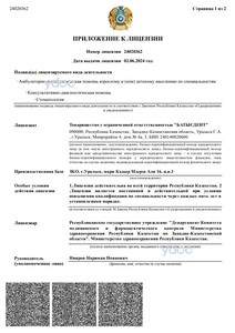 Лицензияға қосымша