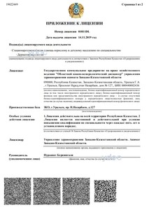 Лицензияға қосымша