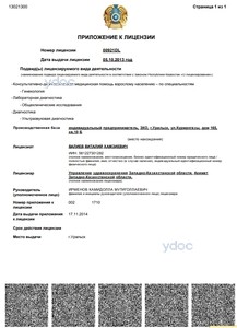 Лицензияға қосымша