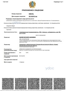 Лицензияға қосымша