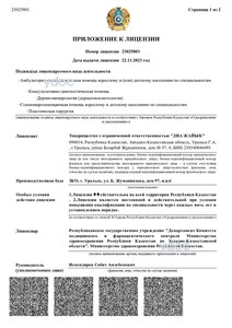 Лицензия