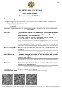 Приложение к лицензии Приложение к лицензии