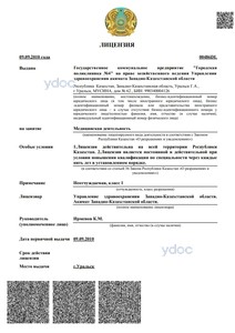 Лицензия Лицензия