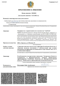 Лицензияға қосымша