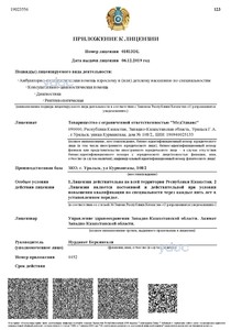 Приложение к лицензии