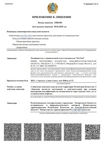 Приложение к лицензии