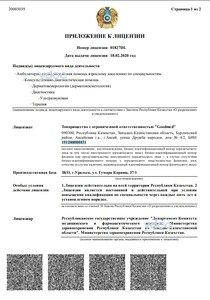 Приложение к лицензии Приложение к лицензии