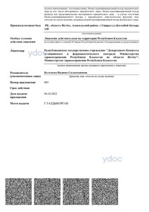 Лицензия Лицензия