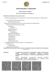Лицензия Лицензия