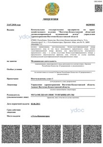 Лицензия