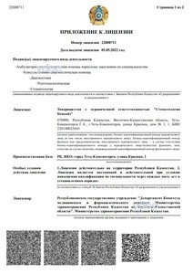 Лицензия Лицензия