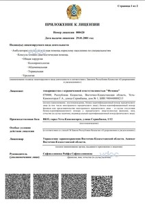 Лицензия Лицензия