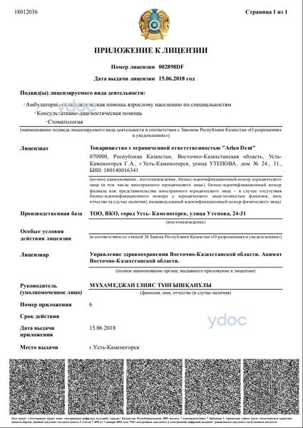 Лицензия Лицензия