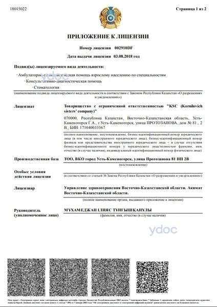 Лицензия Лицензия