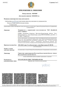 Лицензия Лицензия