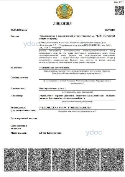 Лицензия Лицензия