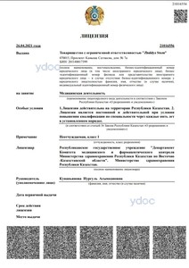 Лицензия Лицензия