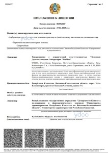 Лицензия Лицензия