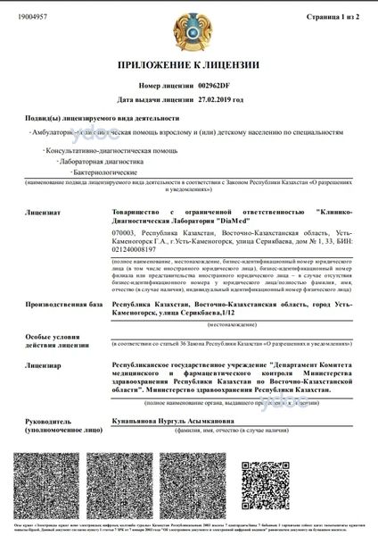 Лицензия Лицензия