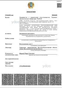 Лицензия Лицензия