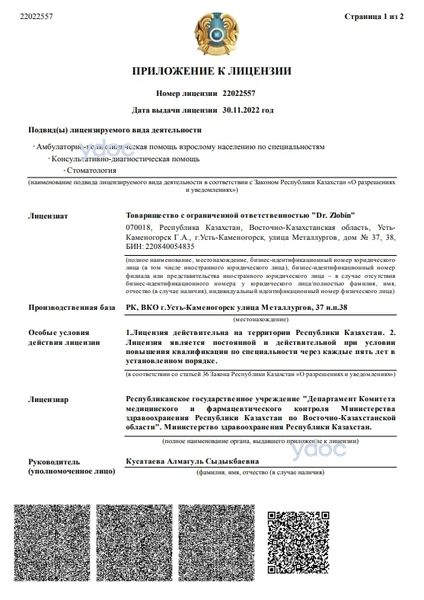 Лицензия Лицензия