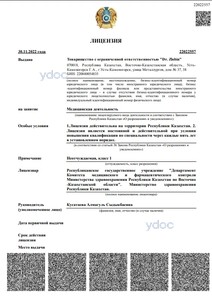 Лицензия Лицензия