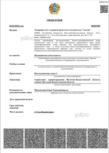 Лицензия Лицензия