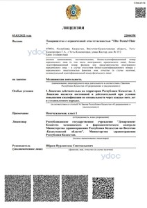 Лицензия Лицензия