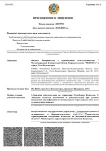 Лицензия Лицензия