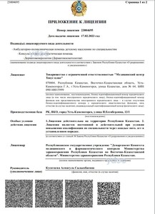 Лицензия Лицензия