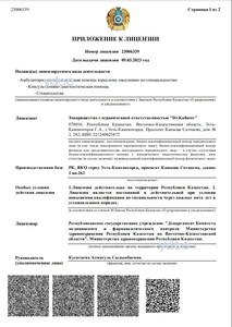 Лицензия Лицензия