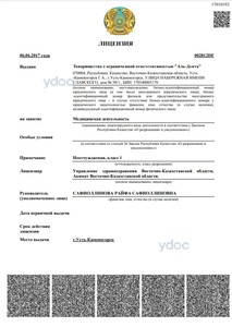 Лицензия Лицензия