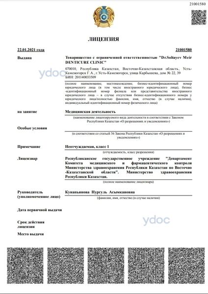 Лицензия Лицензия