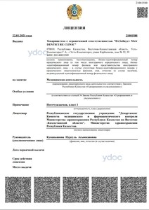 Лицензия Лицензия